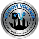 Detroit Voltage logo