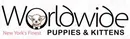 Worldwide Puppies and Kittens logo