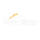 Young Electric logo